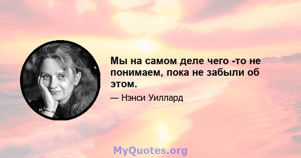 Мы на самом деле чего -то не понимаем, пока не забыли об этом.