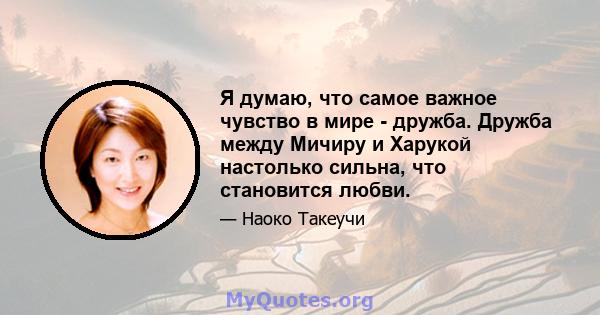 Я думаю, что самое важное чувство в мире - дружба. Дружба между Мичиру и Харукой настолько сильна, что становится любви.