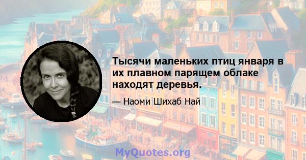 Тысячи маленьких птиц января в их плавном парящем облаке находят деревья.