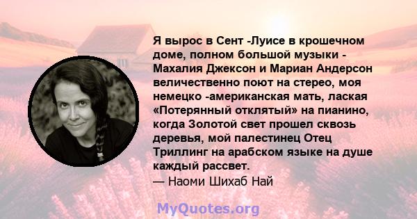 Я вырос в Сент -Луисе в крошечном доме, полном большой музыки - Махалия Джексон и Мариан Андерсон величественно поют на стерео, моя немецко -американская мать, лаская «Потерянный отклятый» на пианино, когда Золотой свет 