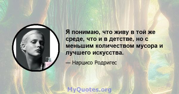 Я понимаю, что живу в той же среде, что и в детстве, но с меньшим количеством мусора и лучшего искусства.