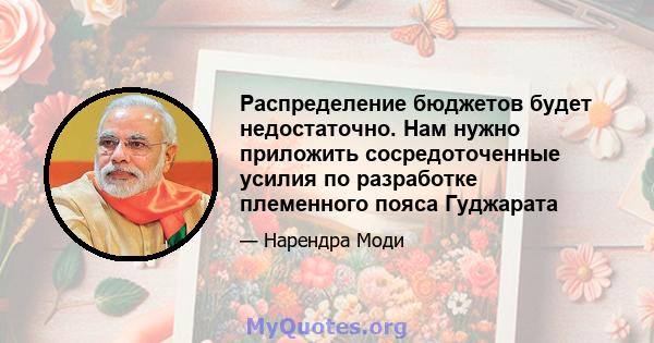 Распределение бюджетов будет недостаточно. Нам нужно приложить сосредоточенные усилия по разработке племенного пояса Гуджарата