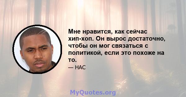 Мне нравится, как сейчас хип-хоп. Он вырос достаточно, чтобы он мог связаться с политикой, если это похоже на то.