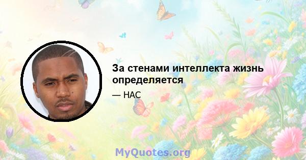 За стенами интеллекта жизнь определяется