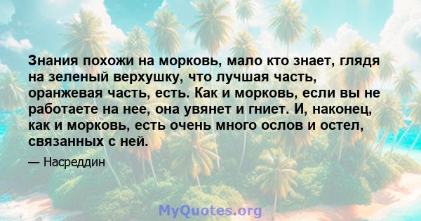 Знания похожи на морковь, мало кто знает, глядя на зеленый верхушку, что лучшая часть, оранжевая часть, есть. Как и морковь, если вы не работаете на нее, она увянет и гниет. И, наконец, как и морковь, есть очень много