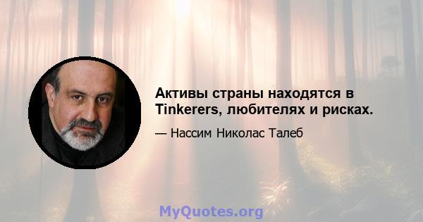 Активы страны находятся в Tinkerers, любителях и рисках.