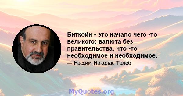 Биткойн - это начало чего -то великого: валюта без правительства, что -то необходимое и необходимое.