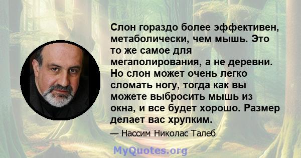 Слон гораздо более эффективен, метаболически, чем мышь. Это то же самое для мегаполирования, а не деревни. Но слон может очень легко сломать ногу, тогда как вы можете выбросить мышь из окна, и все будет хорошо. Размер