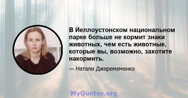 В Йеллоустонском национальном парке больше не кормит знаки животных, чем есть животные, которые вы, возможно, захотите накормить.