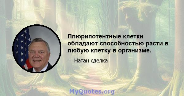 Плюрипотентные клетки обладают способностью расти в любую клетку в организме.