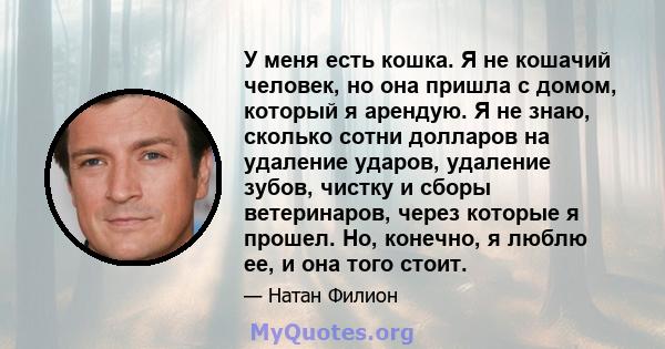 У меня есть кошка. Я не кошачий человек, но она пришла с домом, который я арендую. Я не знаю, сколько сотни долларов на удаление ударов, удаление зубов, чистку и сборы ветеринаров, через которые я прошел. Но, конечно, я 