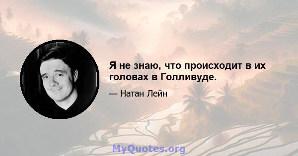 Я не знаю, что происходит в их головах в Голливуде.