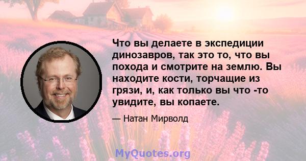 Что вы делаете в экспедиции динозавров, так это то, что вы похода и смотрите на землю. Вы находите кости, торчащие из грязи, и, как только вы что -то увидите, вы копаете.