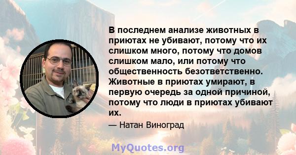 В последнем анализе животных в приютах не убивают, потому что их слишком много, потому что домов слишком мало, или потому что общественность безответственно. Животные в приютах умирают, в первую очередь за одной