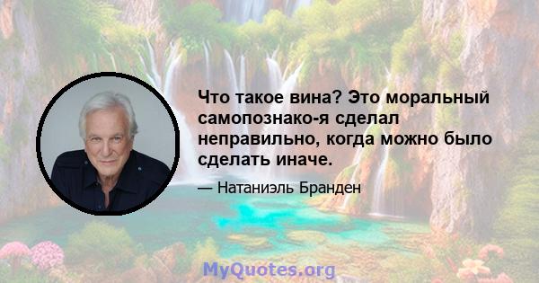 Что такое вина? Это моральный самопознако-я сделал неправильно, когда можно было сделать иначе.