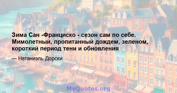 Зима Сан -Франциско - сезон сам по себе. Мимолетный, пропитанный дождем, зеленом, короткий период тени и обновления