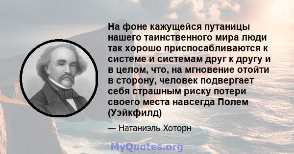 На фоне кажущейся путаницы нашего таинственного мира люди так хорошо приспосабливаются к системе и системам друг к другу и в целом, что, на мгновение отойти в сторону, человек подвергает себя страшным риску потери