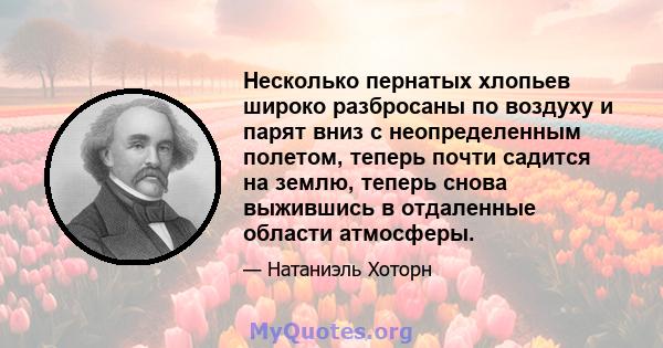 Несколько пернатых хлопьев широко разбросаны по воздуху и парят вниз с неопределенным полетом, теперь почти садится на землю, теперь снова выжившись в отдаленные области атмосферы.