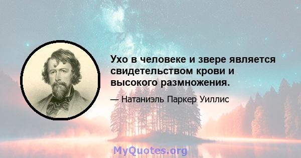 Ухо в человеке и звере является свидетельством крови и высокого размножения.