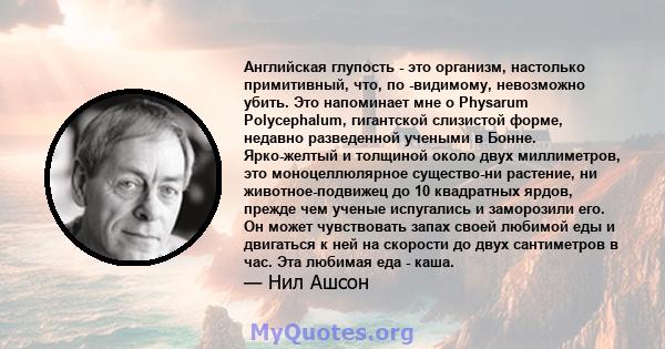 Английская глупость - это организм, настолько примитивный, что, по -видимому, невозможно убить. Это напоминает мне о Physarum Polycephalum, гигантской слизистой форме, недавно разведенной учеными в Бонне. Ярко-желтый и