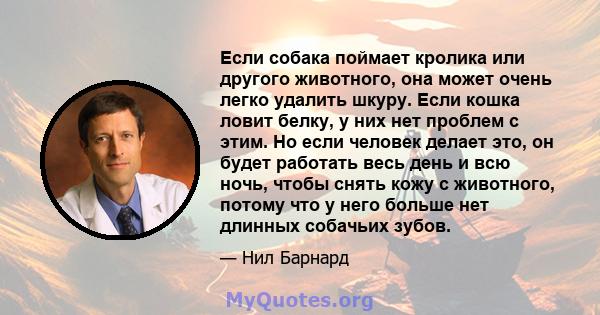 Если собака поймает кролика или другого животного, она может очень легко удалить шкуру. Если кошка ловит белку, у них нет проблем с этим. Но если человек делает это, он будет работать весь день и всю ночь, чтобы снять