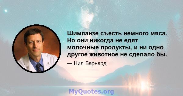 Шимпанзе съесть немного мяса. Но они никогда не едят молочные продукты, и ни одно другое животное не сделало бы.