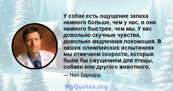 У собак есть ощущение запаха намного больше, чем у нас, и они намного быстрее, чем мы. У нас довольно скучные чувства, довольно медленная локомоция. В наших олимпийских испытаниях мы отмечаем скорости, которые были бы