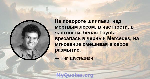 На повороте шпильки, над мертвым лесом, в частности, в частности, белая Toyota врезалась в черный Mercedes, на мгновение смешивая в серое размытие.