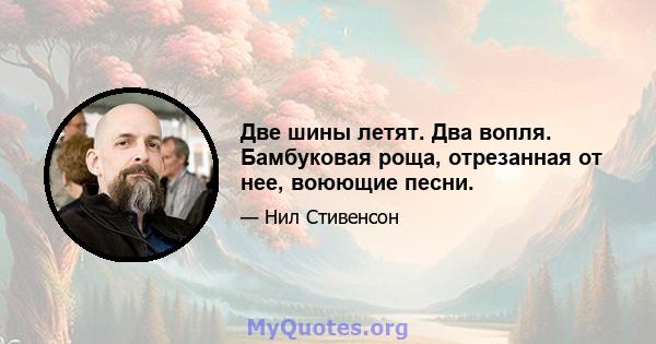 Две шины летят. Два вопля. Бамбуковая роща, отрезанная от нее, воюющие песни.