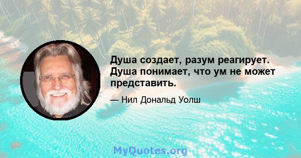 Душа создает, разум реагирует. Душа понимает, что ум не может представить.