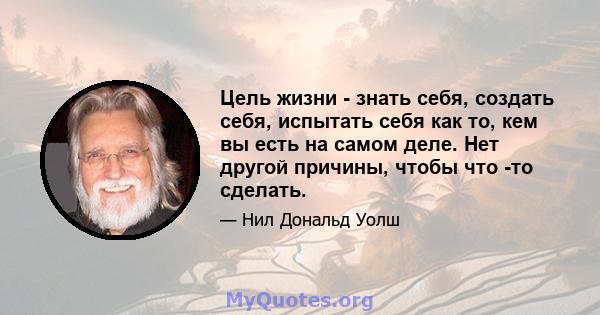 Цель жизни - знать себя, создать себя, испытать себя как то, кем вы есть на самом деле. Нет другой причины, чтобы что -то сделать.