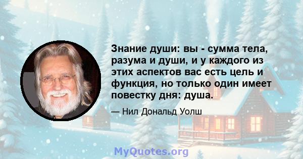 Знание души: вы - сумма тела, разума и души, и у каждого из этих аспектов вас есть цель и функция, но только один имеет повестку дня: душа.