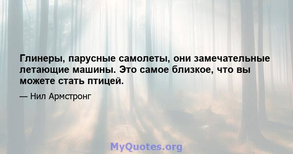 Глинеры, парусные самолеты, они замечательные летающие машины. Это самое близкое, что вы можете стать птицей.