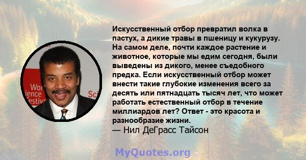 Искусственный отбор превратил волка в пастух, а дикие травы в пшеницу и кукурузу. На самом деле, почти каждое растение и животное, которые мы едим сегодня, были выведены из дикого, менее съедобного предка. Если