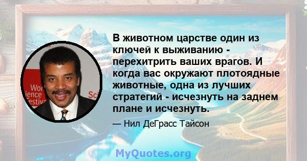 В животном царстве один из ключей к выживанию - перехитрить ваших врагов. И когда вас окружают плотоядные животные, одна из лучших стратегий - исчезнуть на заднем плане и исчезнуть.