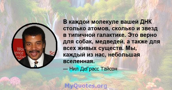 В каждой молекуле вашей ДНК столько атомов, сколько и звезд в типичной галактике. Это верно для собак, медведей, а также для всех живых существ. Мы, каждый из нас, небольшая вселенная.