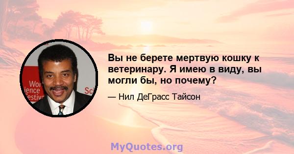 Вы не берете мертвую кошку к ветеринару. Я имею в виду, вы могли бы, но почему?