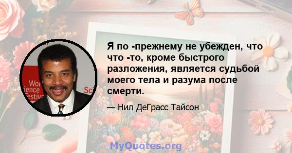 Я по -прежнему не убежден, что что -то, кроме быстрого разложения, является судьбой моего тела и разума после смерти.