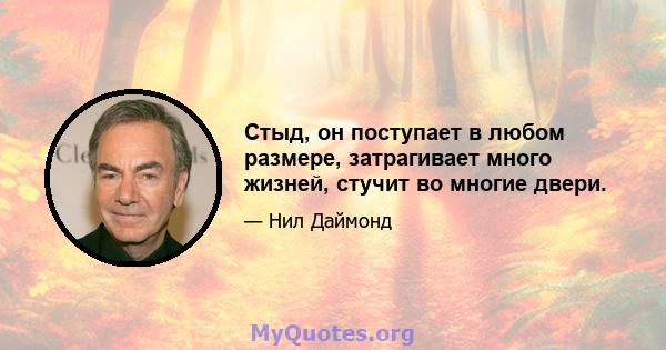 Стыд, он поступает в любом размере, затрагивает много жизней, стучит во многие двери.