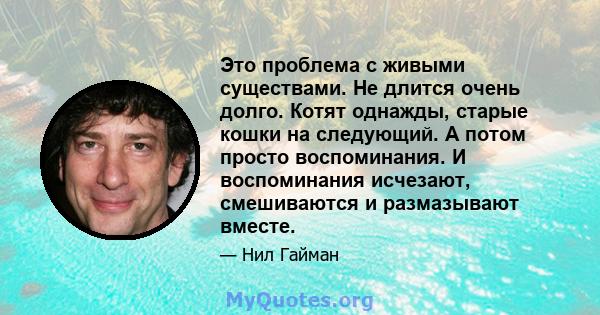 Это проблема с живыми существами. Не длится очень долго. Котят однажды, старые кошки на следующий. А потом просто воспоминания. И воспоминания исчезают, смешиваются и размазывают вместе.