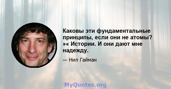 Каковы эти фундаментальные принципы, если они не атомы? »« Истории. И они дают мне надежду.