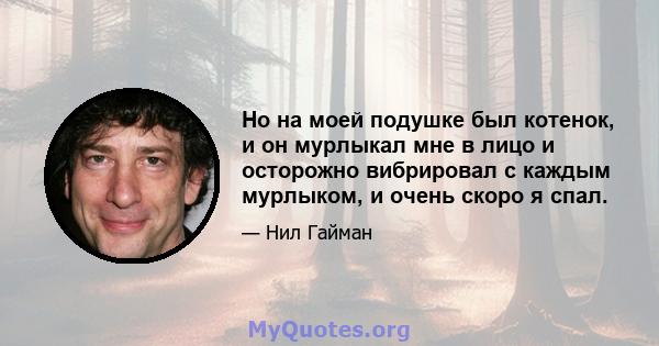 Но на моей подушке был котенок, и он мурлыкал мне в лицо и осторожно вибрировал с каждым мурлыком, и очень скоро я спал.