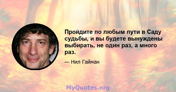 Пройдите по любым пути в Саду судьбы, и вы будете вынуждены выбирать, не один раз, а много раз.