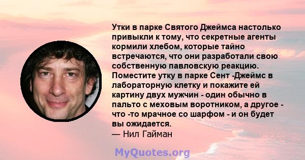 Утки в парке Святого Джеймса настолько привыкли к тому, что секретные агенты кормили хлебом, которые тайно встречаются, что они разработали свою собственную павловскую реакцию. Поместите утку в парке Сент -Джеймс в