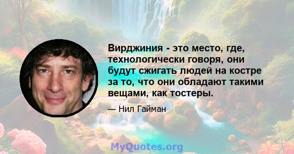 Вирджиния - это место, где, технологически говоря, они будут сжигать людей на костре за то, что они обладают такими вещами, как тостеры.