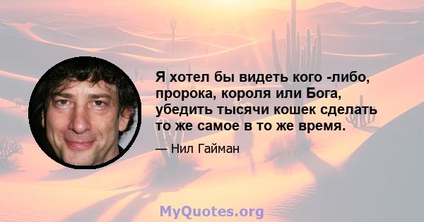 Я хотел бы видеть кого -либо, пророка, короля или Бога, убедить тысячи кошек сделать то же самое в то же время.