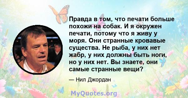 Правда в том, что печати больше похожи на собак. И я окружен печати, потому что я живу у моря. Они странные кровавые существа. Не рыба, у них нет жабр, у них должны быть ноги, но у них нет. Вы знаете, они самые странные 