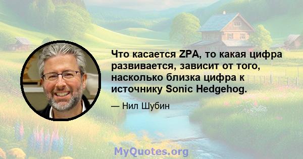 Что касается ZPA, то какая цифра развивается, зависит от того, насколько близка цифра к источнику Sonic Hedgehog.