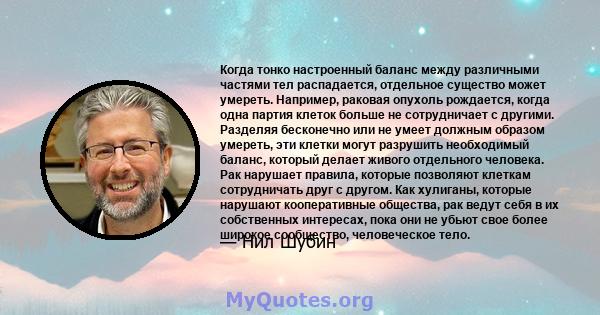 Когда тонко настроенный баланс между различными частями тел распадается, отдельное существо может умереть. Например, раковая опухоль рождается, когда одна партия клеток больше не сотрудничает с другими. Разделяя