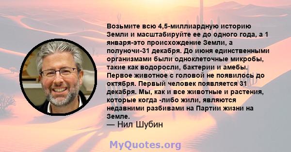 Возьмите всю 4,5-миллиардную историю Земли и масштабируйте ее до одного года, а 1 января-это происхождение Земли, а полуночи-31 декабря. До июня единственными организмами были одноклеточные микробы, такие как водоросли, 